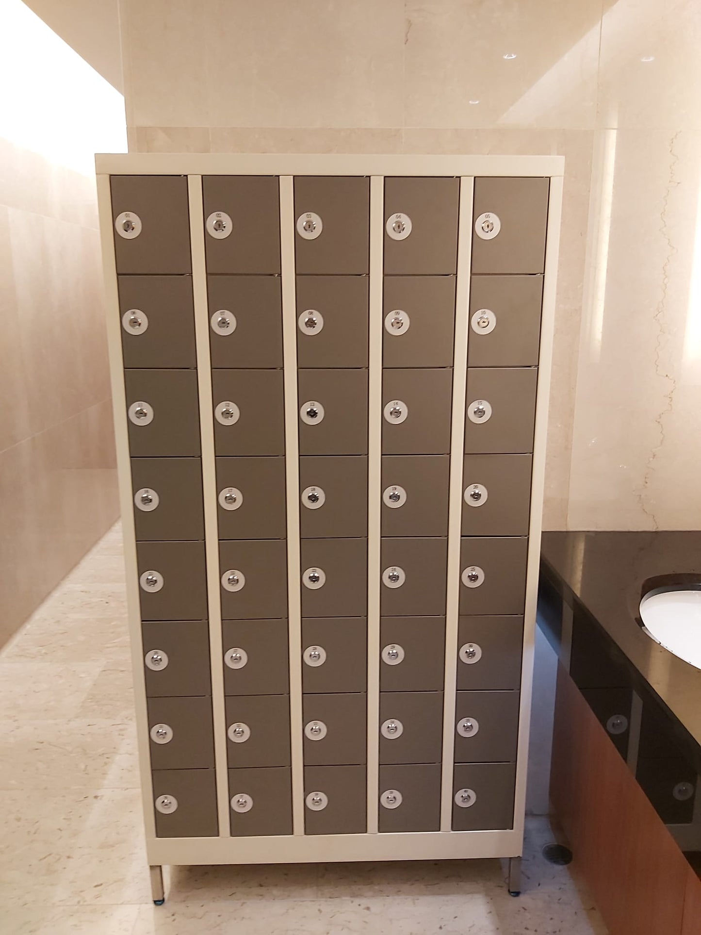 學生儲物柜，Locker，多門柜，多用途儲物柜，Storage Cabinet，學校 Locker，更衣室儲物柜，Plastic Locker，塑膠儲物柜