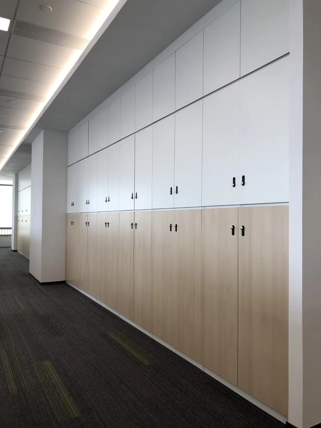 Steel Cabinet，辦公室文件柜，文件儲物柜，Filing Cabinet，Storage Cabinet